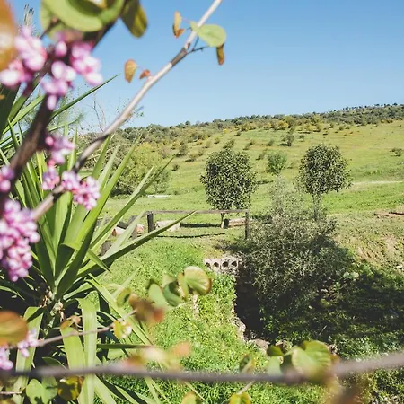 Cortijo Don Pablo Holiday home San Pablo