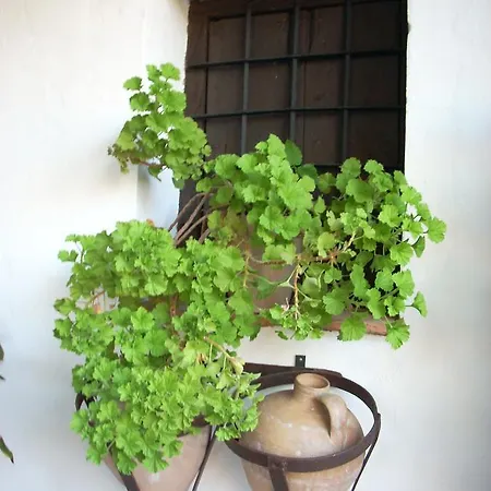 Cortijo Don Pablo